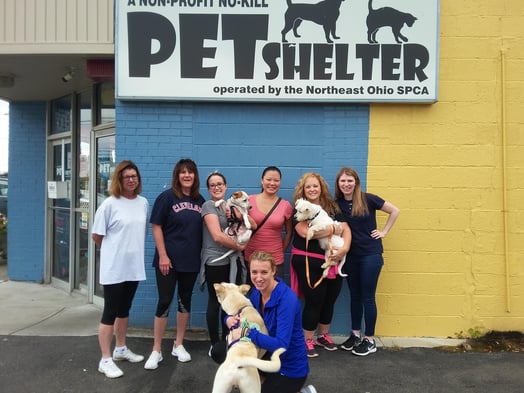 Selman & Company volunteers at Northeast Ohio SPCA Pet Shelter